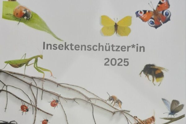 20251016_193247