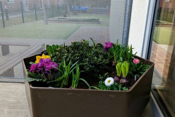 Frühlingsblumentopf_4