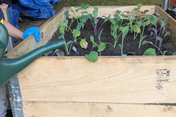 Garten(3)
