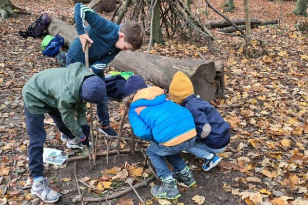 Waldschule_05